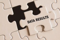 Data Results Image