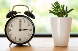 clock and succulent on wood table