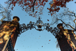 Harvard University gates with ivy